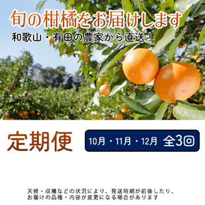 家庭用 柑橘定期便S（10～12月）全3回 ［IKE306］