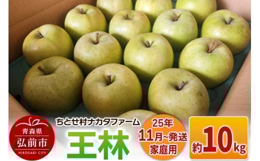 【25年11月発送】りんご【家庭用】王林 約10kg【レビューキャンペーン】