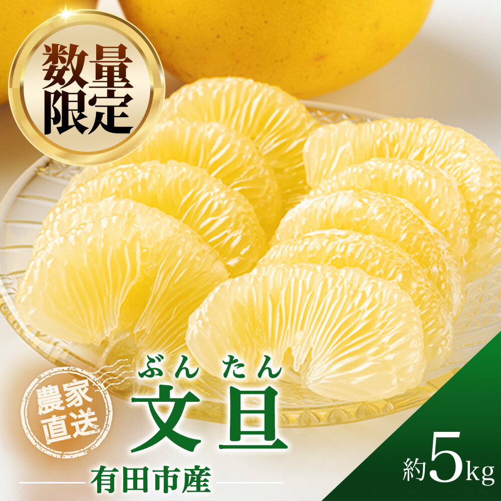 【ふるさと納税】文旦 5kg ザボン ぶんたん ぼんたん 濃厚 柑橘 フルーツ 果物 くだもの みかん 人気 おすすめ 送料無料 国産 和歌山 有田市【2026年3月中旬から順次お届け】(A361-1)