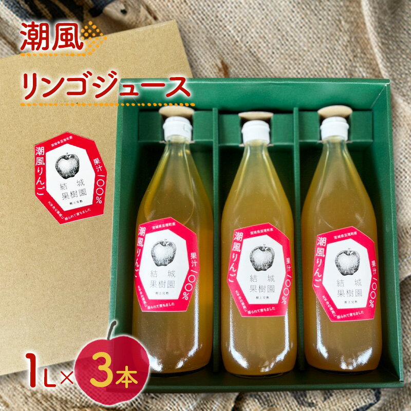 【ふるさと納税】潮風りんごジュース 1L×3本 【結城果樹園】亘理町産 完熟りんご