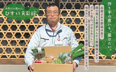 直売所からお届け！旬の野菜セット（8～10品詰め合わせ）JA 新鮮な野菜直送便 糸魚川 新潟 【大根･白菜･春菊･アスパラ菜･しいたけ･ほうれん草･ふきのとう･タラの芽･山菜･にんじん･イチゴ･トマト