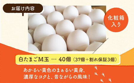 【化粧箱入り】白たまご M玉 40個（37個＋3個割れ保証）【農事組合法人 鹿本養鶏組合】タマゴ 玉子 熊本県たまご 卵 国産たまご 新鮮たまご しろたまご M玉たまご 熊本たまご 濃厚たまご たまご