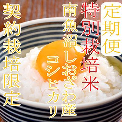 ふるさと納税 南魚沼市 【発送月固定定期便】【特別栽培米6Kg】生産者限定 南魚沼しおざわ産コシヒカリ全6回 |  | 01