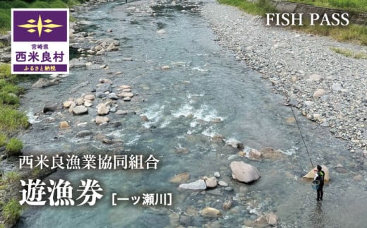 ［ふるさと納税］西米良漁業協同組合　年券　全魚種　鮎の友釣り　鮎かけ　鮎釣り　渓流釣り　西米良　宮崎　アウトドア　釣り　アユ　ヤマメ　ニジマス