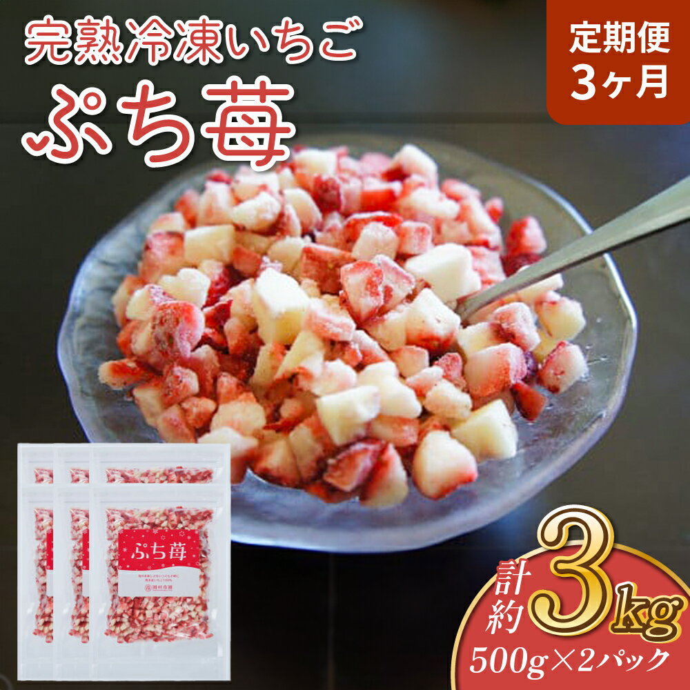 【ふるさと納税】【定期便3ヶ月】完熟 冷凍 いちご ぷち苺 500g×2パック 園村苺園 定期便 1回あたり 合計1kg 3回定期便 合計3kg 3ヶ月 連続 イチゴ 苺 さちのか フルーツ 果物 デザート パック 急速冷凍 贈答品 贈り物 のし対応 国産 九州産 熊本県産 宇城市産 送料無料