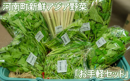 河南町新鮮アジア野菜「お手軽セット」 No.332
