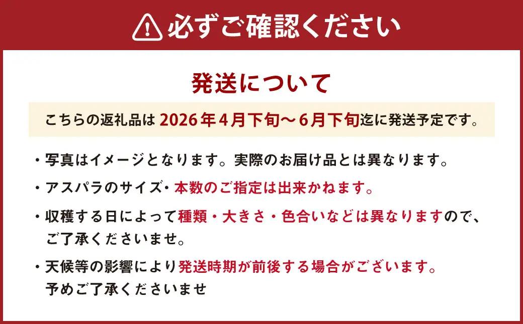 アスパラ 約800g M～2L 【2026年4月下旬～6月下旬迄発送予定】