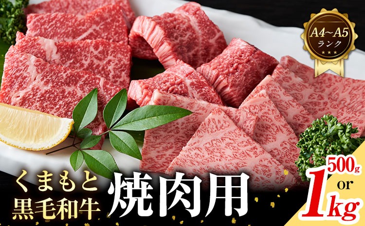【A4～A5】くまもと 黒毛和牛 焼肉用 500g 1kg 《30日以内に出荷予定(土日祝除く)》熊本県 大津町 黒毛和牛 肉 お肉 和牛 牛 牛肉 A5 A4 小分け---so_fmpkkyn_30d_25_13500_500g---