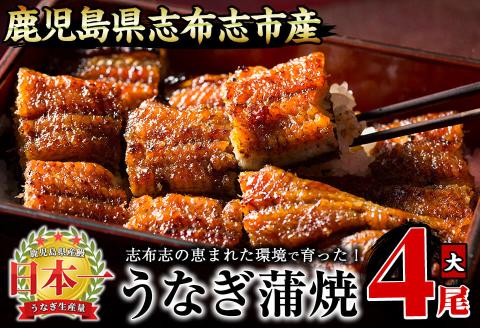 うなぎの大楠＜大＞4尾セット計600g(150g×4) b8-026