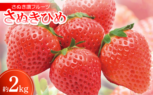 
                  さぬき讃フルーツ「さぬきひめ」約2kg ＜令和9年1～5月発送＞【1609813】
                