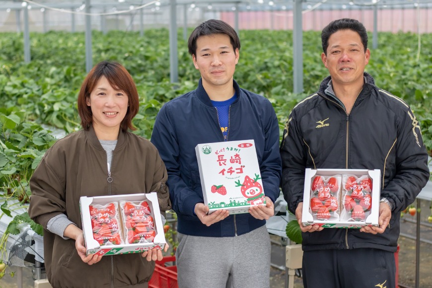 長崎県知事賞受賞【 厳選 いちご 】「 ゆめのか （ 2L ～ 3L ）」260g × 4パック ＜1～4月にお届け＞