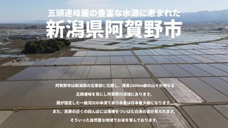 【令和7年産新米】【5回定期便】米杜氏 新潟県阿賀野市産 特別栽培米コシヒカリ5kg×5回 1H04091