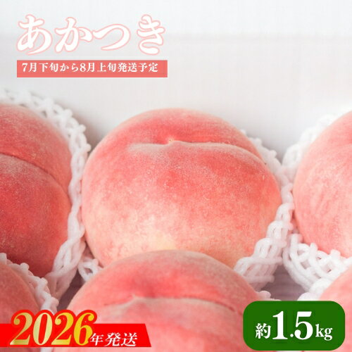 【ふるさと納税】No.2218 もも「あかつき」約1.5kg 化粧箱入【2026年発送 先行予約】
