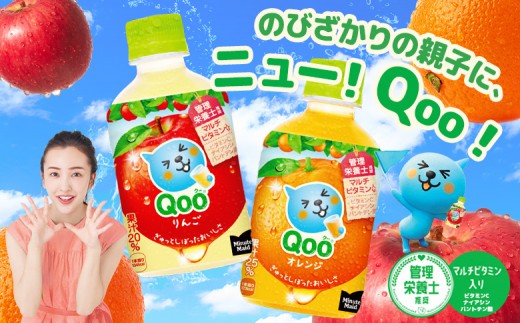 【定期便：全3回】ミニッツメイド Qoo りんごPET　280ml×24本