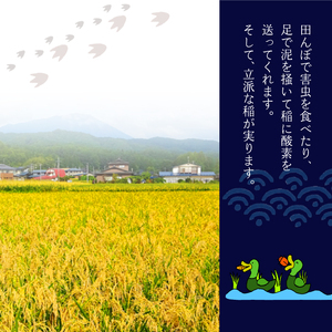 《令和５年度産》武田家のお米 銀河のしずく（玄米）10kg＜合鴨農法＞【米農家 仁左ェ門】 / 米 ５キロ ２袋 アイガモ