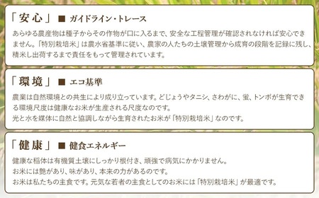 【令和7年産先行予約】 米の里の特別栽培米 ミルキークイーン 精米 6kg(2kg×3袋)　山形県鶴岡市産　K-763