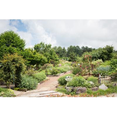 ふるさと納税 東御市 ヴィラデストワイナリー 赤白ワイン4本セットA |  | 02