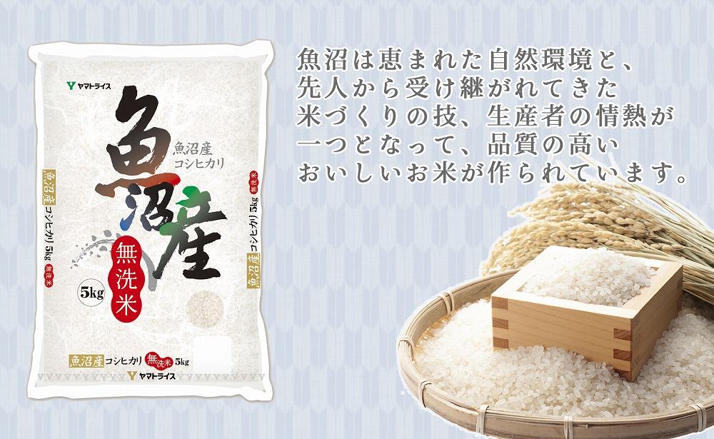 【定期便全6回】無洗米新潟県魚沼産コシヒカリ5kg（受注の翌月から毎月配送）｜新潟県　新潟　魚沼　無洗米　こしひかり　米　おこめ　お米
