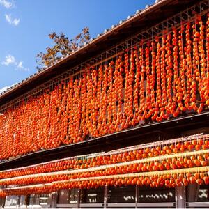 【2026年12月発送】山梨産枯露柿「蜜六花」12～15個(約1200g) 季節限定 高級干し柿【1505321】