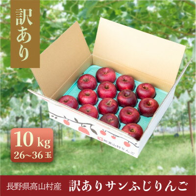 【ふるさと納税】訳ありりんご 10kg(26～36玉)|常温配送・2025年12月以降発送|長野県高山村産【1691165】