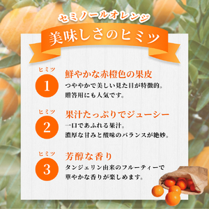 【家庭用】 森本農園の手選別 セミノールオレンジ 約10kg +200g傷み補償付 和歌山県産 サイズ混合 【北海道・沖縄・離島配送不可】【2025年4月中旬～5月中旬頃順次発送】【RN37】