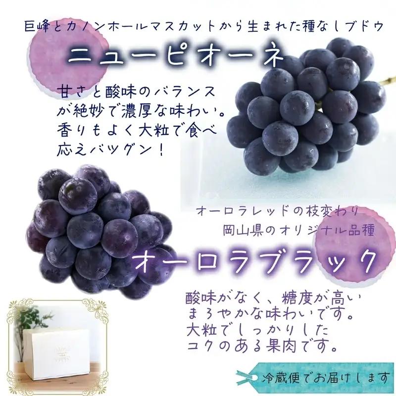 ぶどう 食べ比べ ニューピオーネ&オーロラブラック 1kg(2房) 詰め合わせぶどう【hana032-02】
