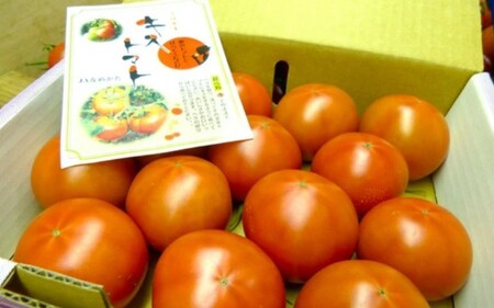【2026年2月以降発送】キストマト約1kg　12個～25個入（茨城県共通返礼品／行方市産） ／ キストマト トマト フルーツトマト 野菜