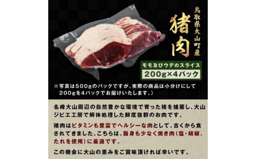 猪肉モモ 800g