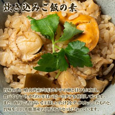 ふるさと納税 鹿部町 北海道産 ホタテゴロゴロ 炊き込みご飯の素・甘辛煮セット 各1パック T81 |  | 01