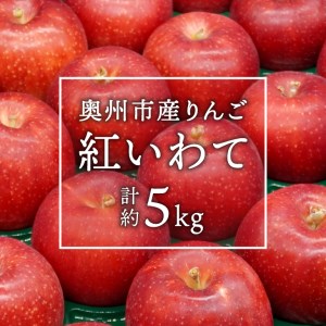 数量限定 奥州市産りんご 紅いわて 5kg(14~20玉) 【10月上旬以降お届け】離島配送不可 [AQ024]