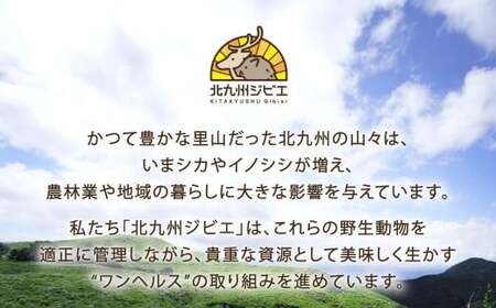 天然イノシシ肉 焼肉用 スライス 約3kg（200g×15）【2026年5月上旬まで発送予定】イノシシ肉 イノシシ 猪 肉 お肉 焼肉用 焼肉 スライス 冷凍 福岡県 北九州市