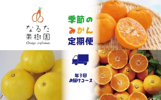 
            なるた果樹園季節のみかん定期便A（年3回お届けコース）
          