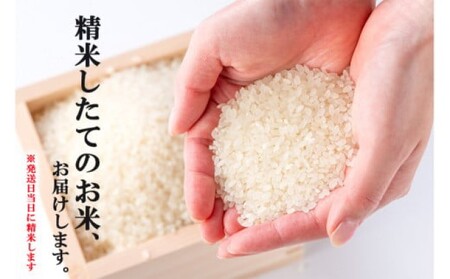 配送当日に精米します 小郡産 特A 特別栽培米ひのひかり 10ｋｇ