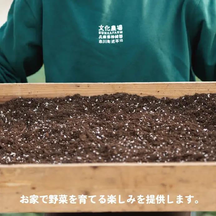 家庭菜園用培土「文化の土」90L　016BK01N.／ガーデニング 花 野菜 栽培 ベランダ菜園 培土 用土 初期育成 肥料入り 家庭菜園 土 培養土 鉢植え 園芸用土 初心者 元肥入り はじめての家