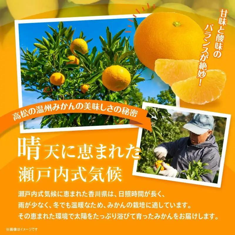 瀬戸内温州みかん（2L～Mサイズ混合）約5kg【2025年10月中旬～2026年1月下旬配送】 | みかん