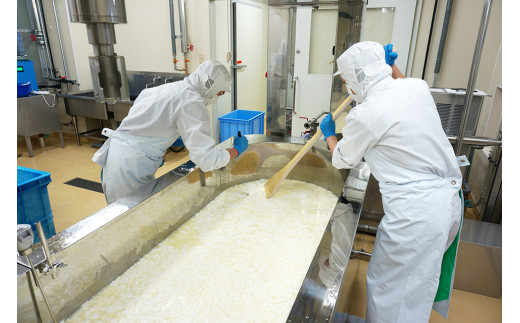 ナチュラルチーズ 詰め合わせ【Japan Cheese Awards2024 受賞】 3種×2セット  (モッツァレラ・カチョカヴァッロ・ストリング)  ｜チーズ モッツァレラ カチョカヴァッロ ストリング 保存料不使用 自家製 手作り チーズ セット チーズ工房 さけるチーズ お歳暮 プレゼント 贈答 ギフト 食べ比べ おつまみ 詰め合わせ お取り寄せ 人気 高評価  茨城県 常陸太田市