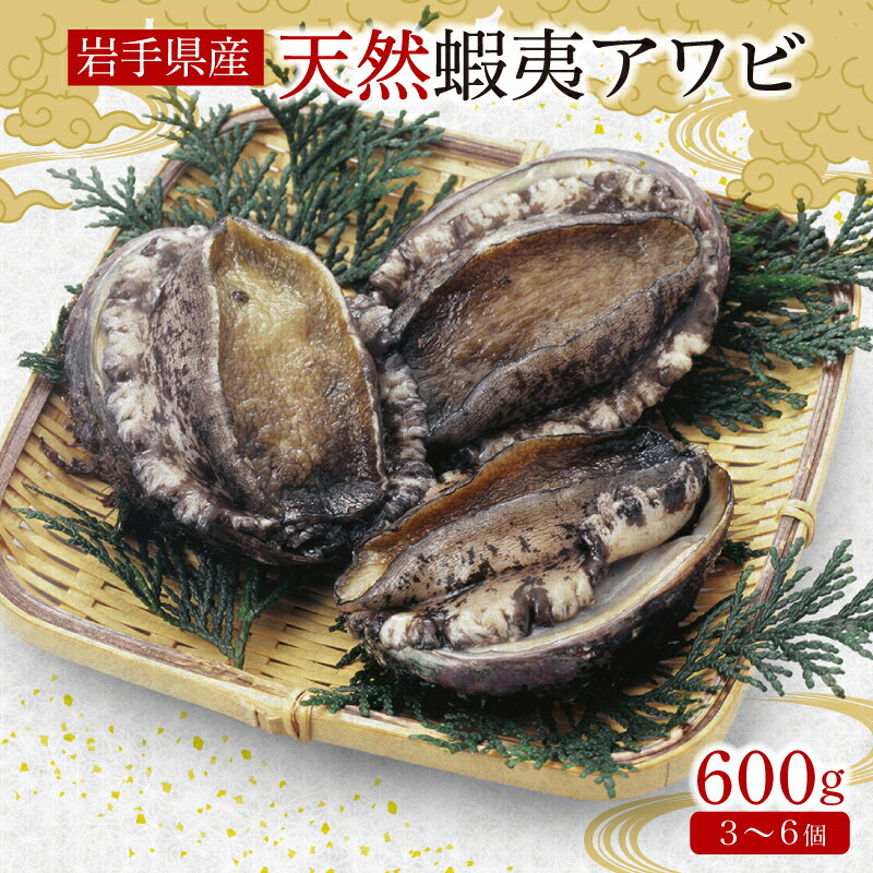 【ふるさと納税】 蝦夷あわび 約600g 冷凍 鮑 あわび アワビ 鮑 Abalone ステーキ 刺し身 刺身 バーベキュー バターソテー 正月 お正月 おせち BBQ ごはん おつまみ 晩酌 米 海産物 海鮮 魚介 魚介類 贈答品 お中元 お歳暮 国産 テレビ ニュース 大船渡 大船渡市 三陸 岩手県