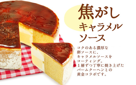 AA-1 焦がしキャラメルミルクシュー&ブリュレバームセット