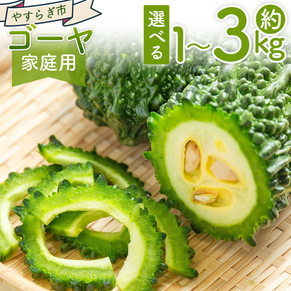 【ふるさと納税】【2026年10月以降発送】【選べる数量】ゴーヤ (1kg/2kg/3kg) 家庭用 - 選べる 数量 国産 野菜 青果 ごうや 苦瓜 天ぷら 炒め物 ご家庭用 不揃い 傷 やすらぎ市 高知県 香南市【冷蔵】 Ryr-0092
