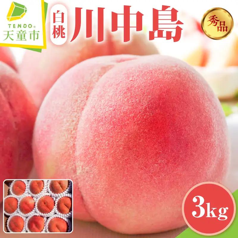 桃 川中島白桃 3kg フルーツ 果物 山形