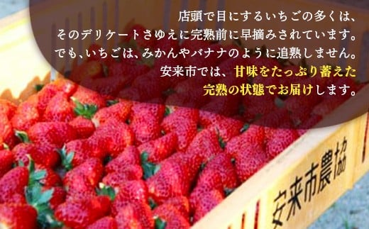 完熟だから美味しい