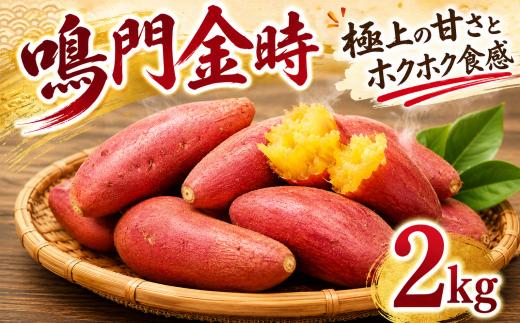 鳴門金時 2kg 【8月中旬発送】 家庭用 S~Mサイズ なると金時 さつま芋 サツマイモ  甘い 焼き芋 産地直送 ほくほく お歳暮 さつまいも 贈答用 秀品 熟成芋 野菜 おやつ 芋 いも イモ 金時 農家直送