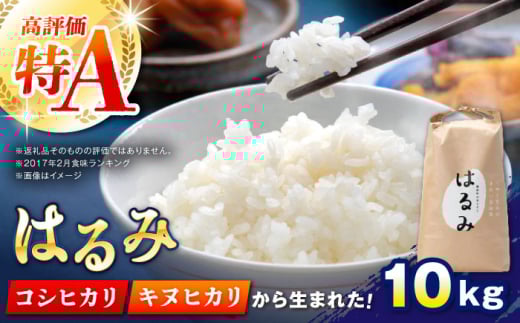 【特Aランク受賞実績あり！】はるみ 10kg【遠藤ファーム】開成町 米 ご飯 白米 お米 特A [BDAF002]