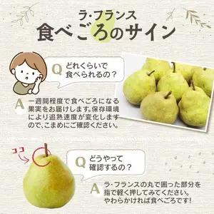 《先行受付》特別栽培 大玉 ラフランス 約3kg・秀品4L～3L 【2026年11月上旬頃～発送予定】 025-016