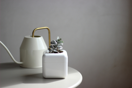 根腐れ防止!多肉植物専用の室内用植木鉢「サボテンハウス(R)」 かわいいキューブ型植木鉢 日用品 贈答品 プレゼント ギフト _GD01 _GD02