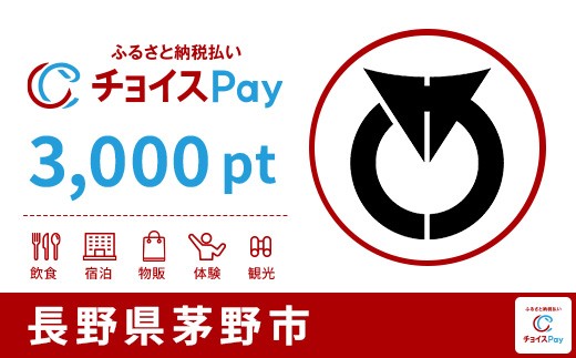
                  茅野市チョイスPay 3,000pt【会員限定のお礼の品】
                