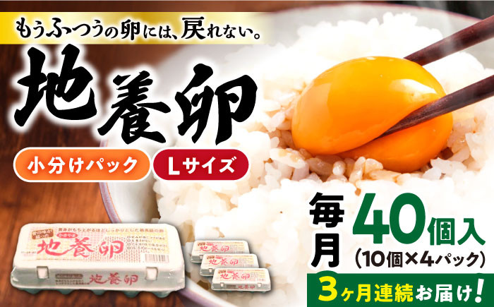 
【3回定期便】最高級 卵 地養卵 Lサイズ 40個×3回定期便 長崎県産 西海市 たまご 卵 玉子 タマゴ 鶏卵 オムレツ 卵かけご飯 朝食 料理 人気 卵焼き＜垣山養鶏園＞ [CBB002]
