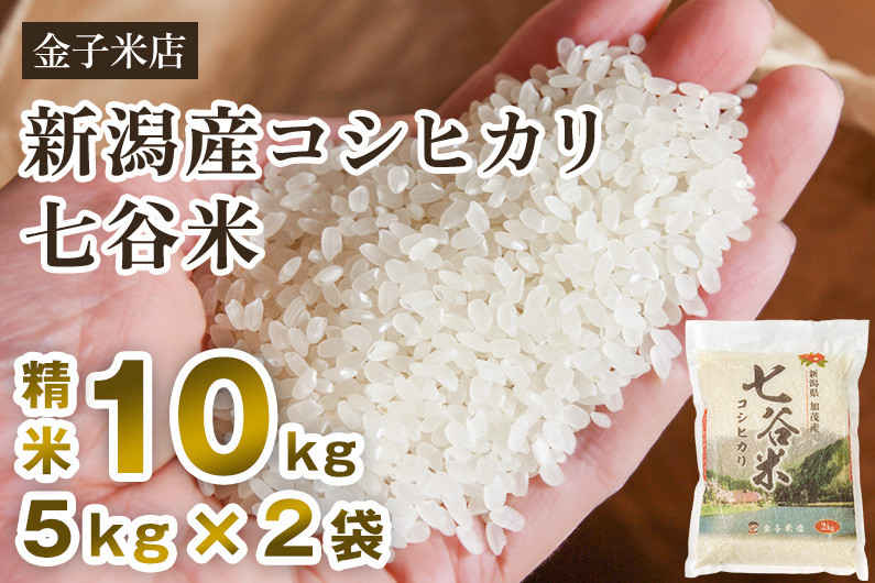 
【令和6年産新米】老舗米穀店が厳選 新潟産 従来品種コシヒカリ「七谷米」精米10kg（5kg×2）白米 窒素ガス充填パックで鮮度長持ち 金子米店
