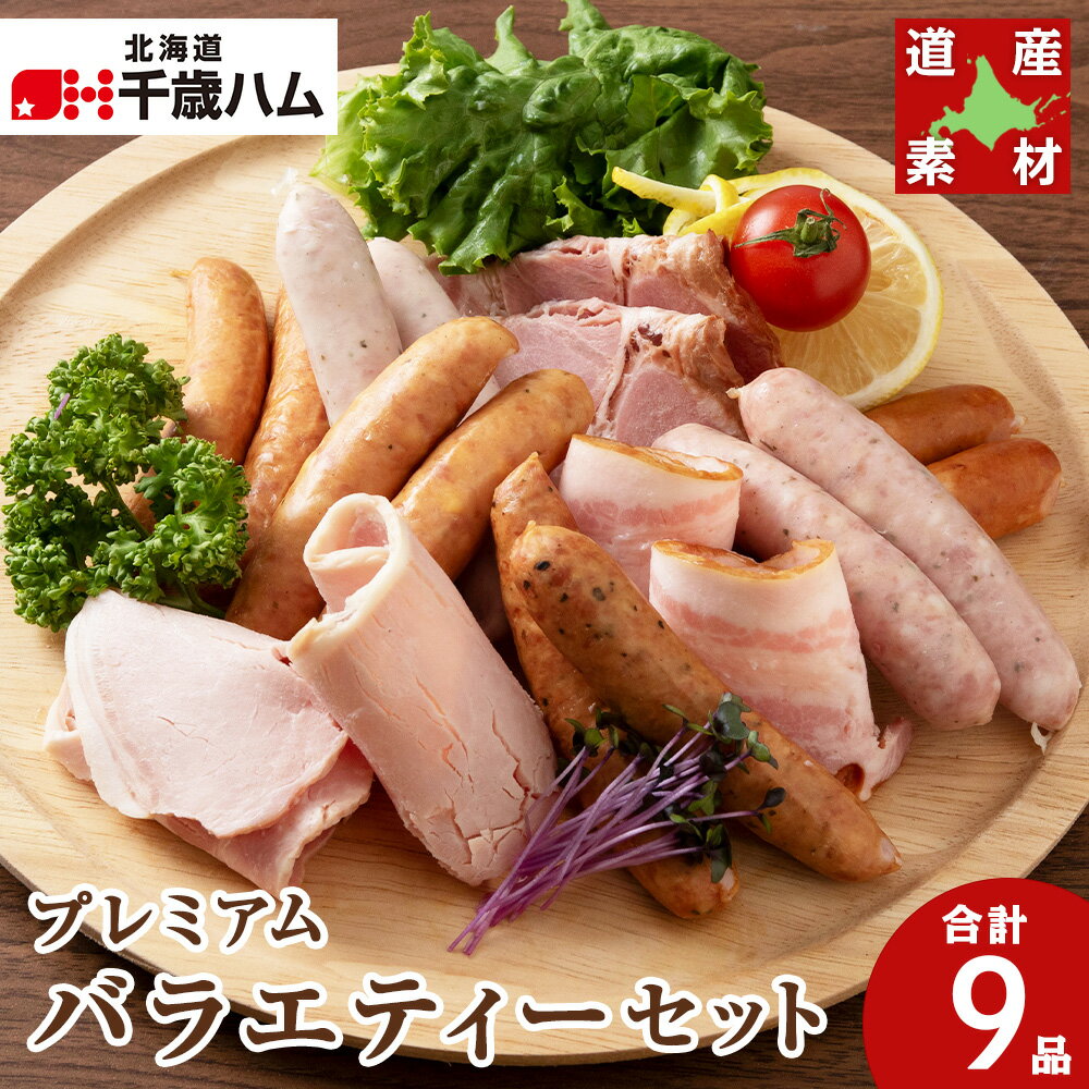 【ふるさと納税】 北海道産 豚肉 9種バラエティー セット ハム ベーコン ウインナー ソーセージ 豚 食べ比べ 千歳工房 豚肉 肉 北海道 千歳ハム 加工肉 肉料理 【北海道千歳市】ギフト ふるさと納税