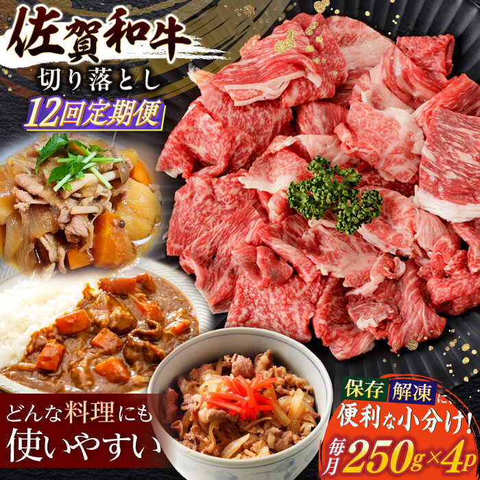 【ふるさと納税】【12回定期便】佐賀和牛 切り落とし 計1kg(250g×4p)【一ノ瀬畜産】[NAC167]